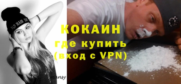 гашик Алексин