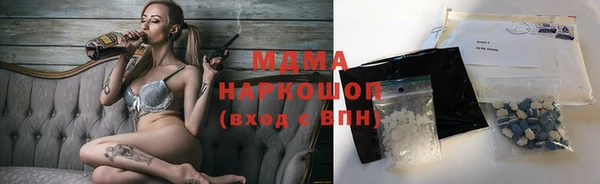 гашик Алексин