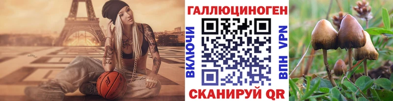 Псилоцибиновые грибы ЛСД Полысаево
