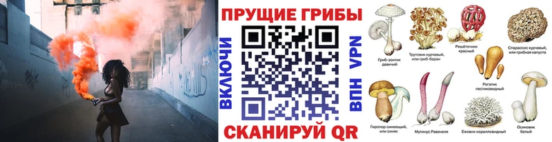 купить наркотики цена  Полысаево  Галлюциногенные грибы Psilocybe 